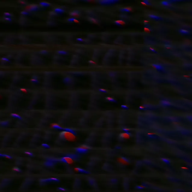 chat with ai character: DATA_EXPUNGED 