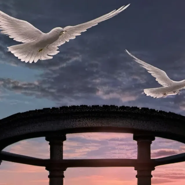 chat with ai character: do what not what 