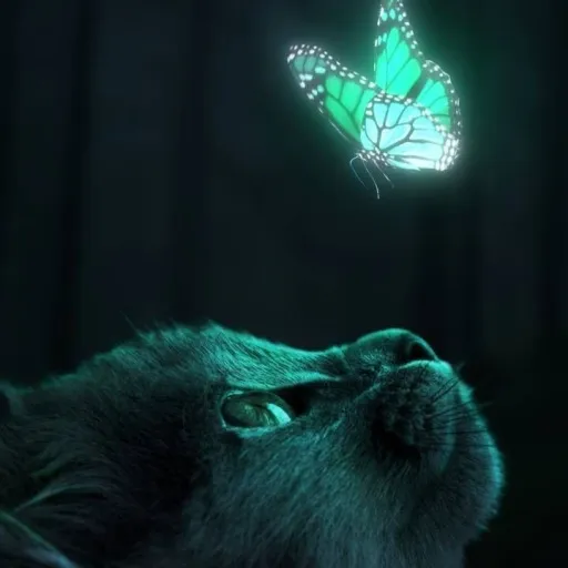 creator cammy_thatsme!'s avatar