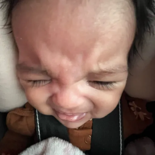 creator roseortoes's avatar