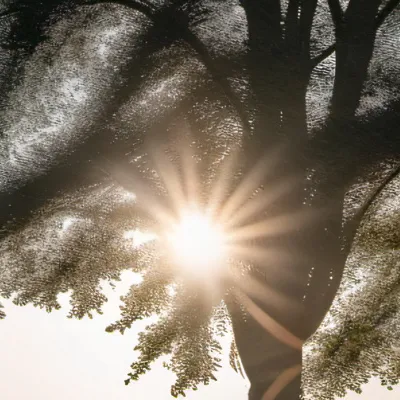 chat with ai character: Sturniolo Triplets