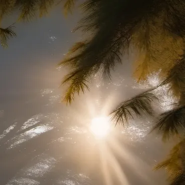 chat with ai character: Sturniolo Triplets