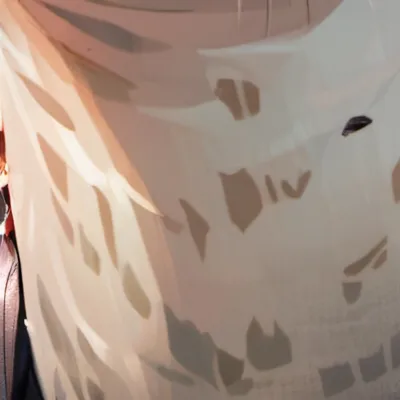 chat with ai character: Cloudberry 