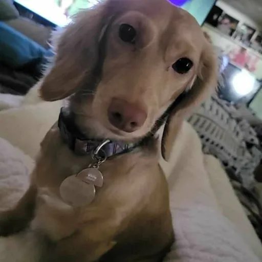 creator TanjiroKamado33445's avatar