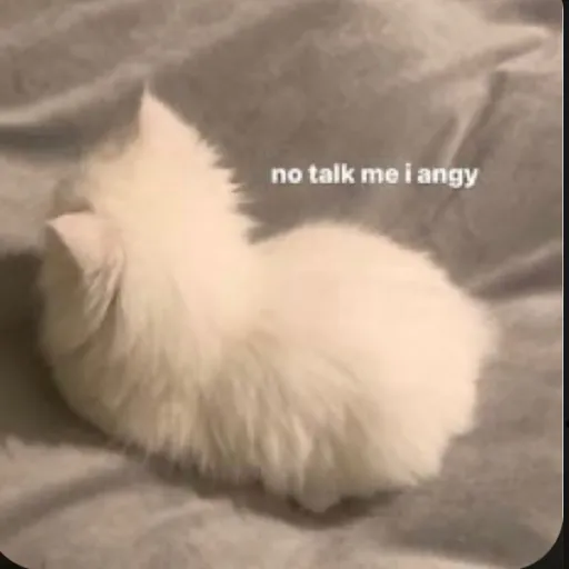 creator riley_mushroom's avatar