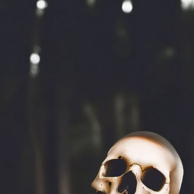 chat with ai character: Baldy