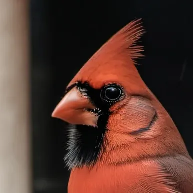 chat with ai character: red cardinal 