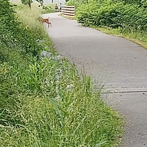 creator Alivia grace's avatar