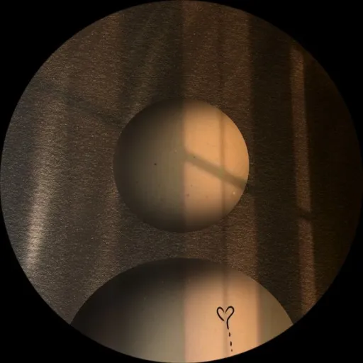 creator Galactic Gal's avatar