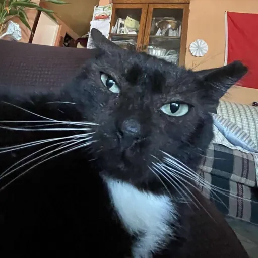 creator drew146's avatar