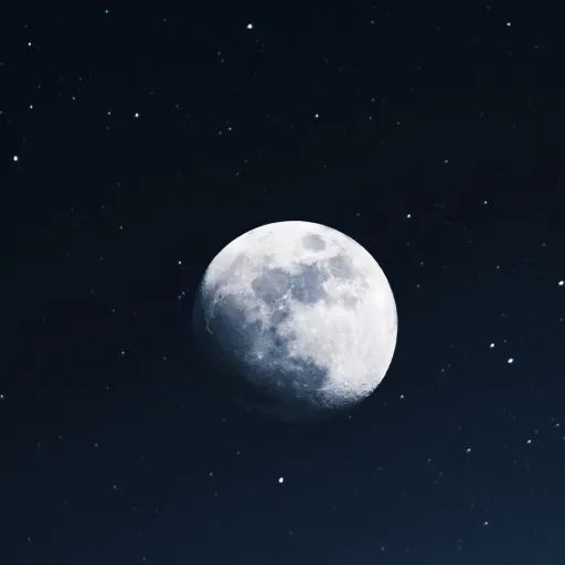 creator angle cakes's avatar