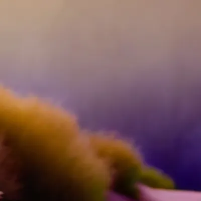 chat with ai character: Grass