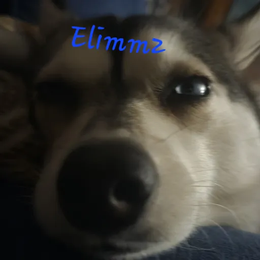 talkie's author avatar