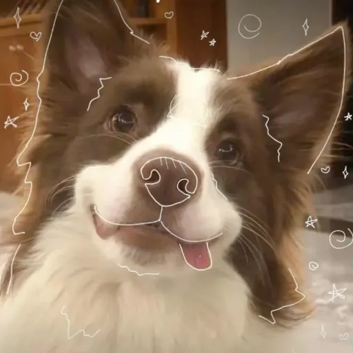 talkie's author avatar