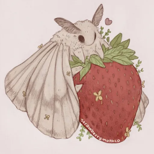 creator Mothie<3's avatar