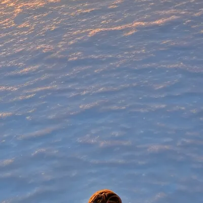 chat with ai character: Braeydon Briley 