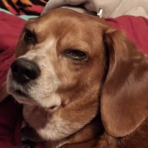 creator ongodbabygirl's avatar