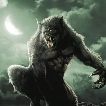 creator Talkior-mNygNLDz's avatar