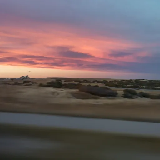 creator Lilydale🌺's avatar