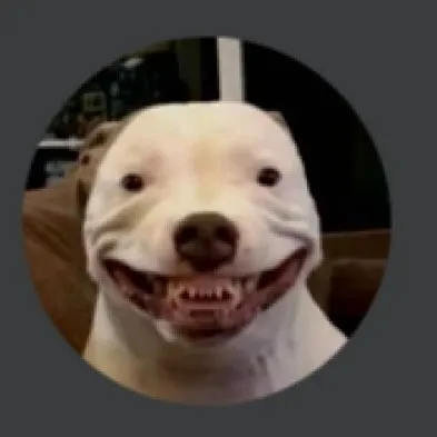 creator i idenify as a dog's avatar