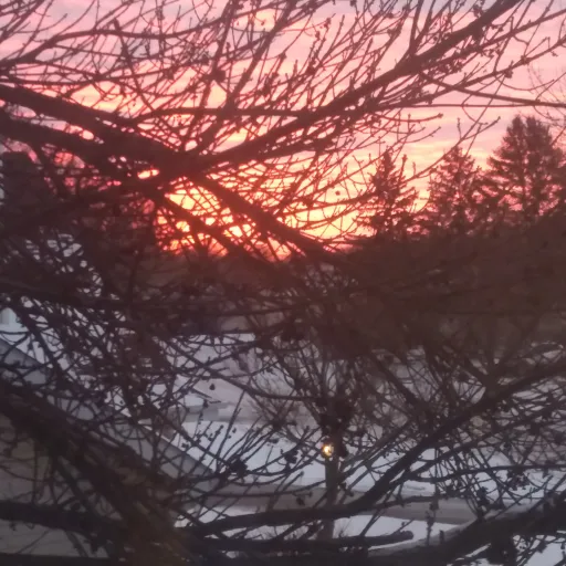 creator hi guys i am new's avatar