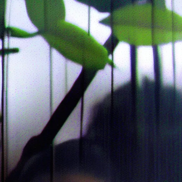 chat with ai character: Skylar 