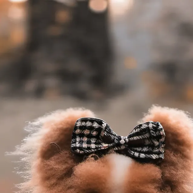 chat with ai character: your Chihuahua