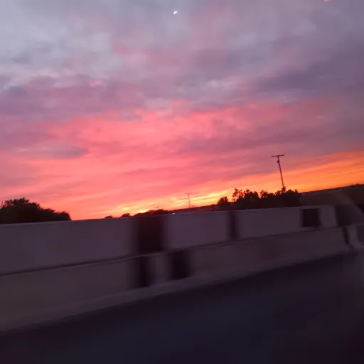 creator Unicorn1's avatar