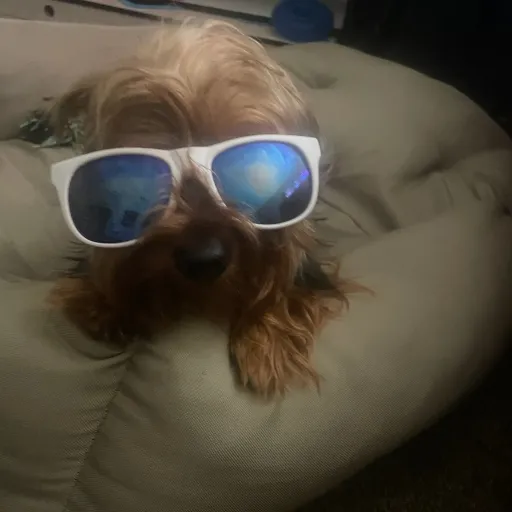 creator Talkior-iAWnqN1Z's avatar