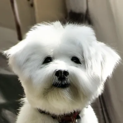 chat with ai character: Lily