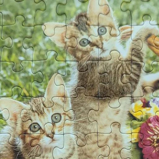 creator Kit and peopleপাউ's avatar