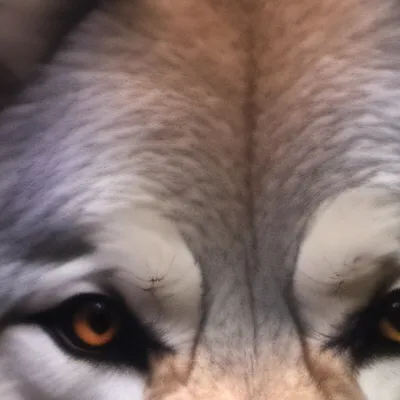 chat with ai character: Dom