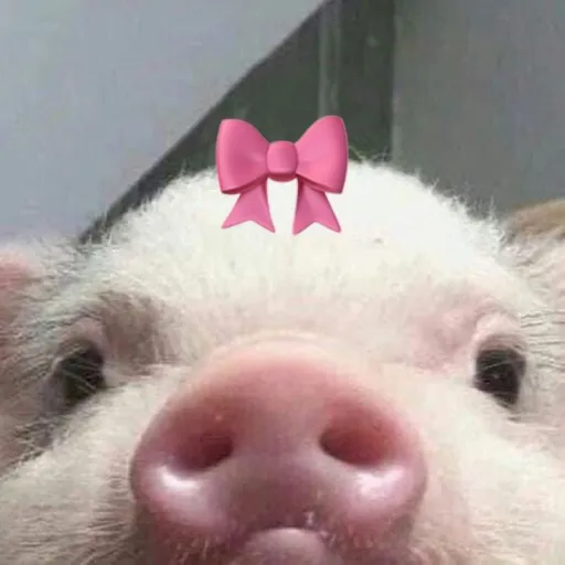 creator ☆ẄËÏRḌ_ẄÏṬCH☆'s avatar