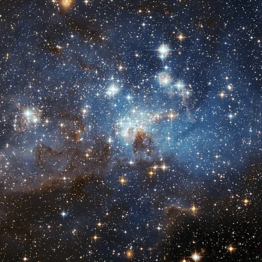 creator Neo Suzuki's avatar