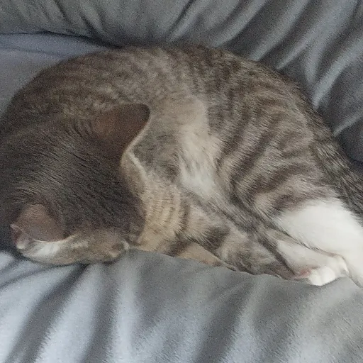 creator Talkior-V8izyJJ3's avatar