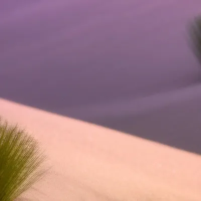 chat with ai character: Grass