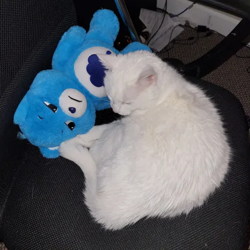 talkie's author avatar