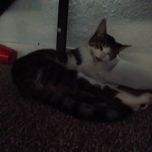 creator Jinx fan's avatar