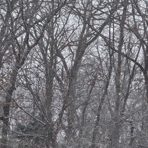 creator .•♫•♬•𝒁𝒆𝒂•♬•♫•.'s avatar