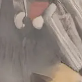 chat with ai character: Willy Wonka