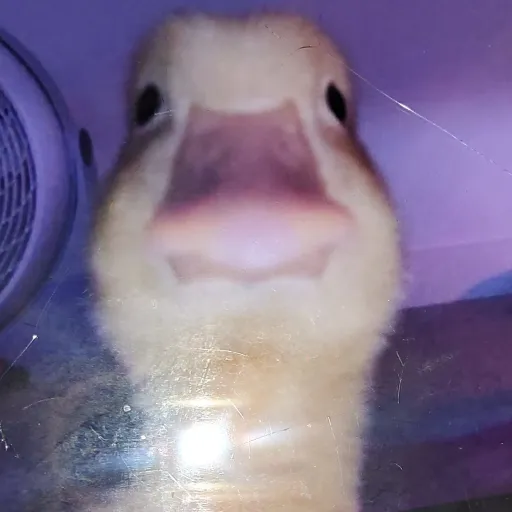 creator Faith >3's avatar