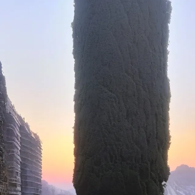 chat with ai character: MATH