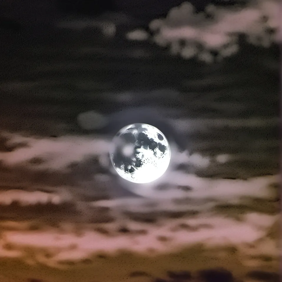 chat with ai character: Royal Universe