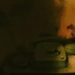 creator Mood's avatar