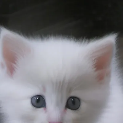 chat with ai character: Shelly