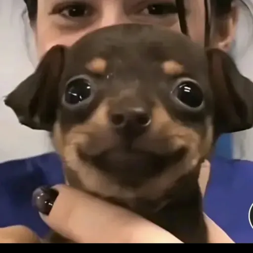 creator Talkior-hOLp0MVh's avatar