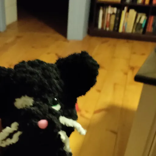 talkie's author avatar