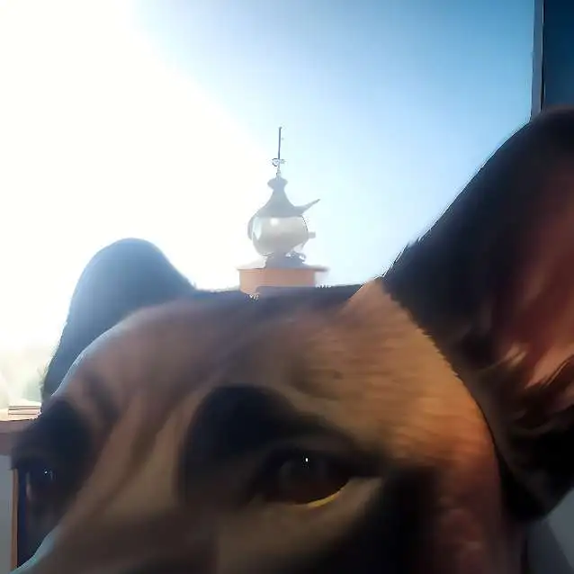 chat with ai character: Arche