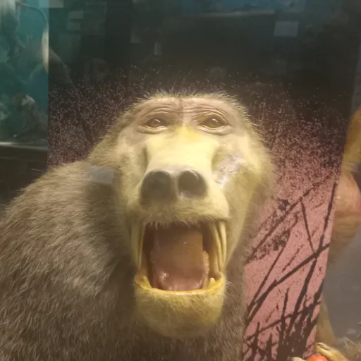 creator ☆•SKIBIDI•☆'s avatar