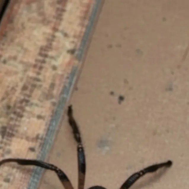 chat with ai character: Sophie  Al writer)